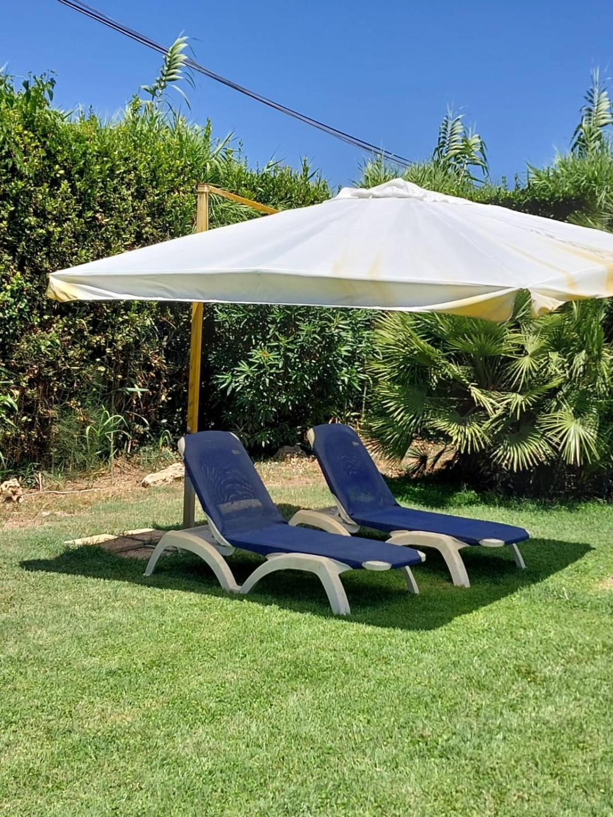 Cozy Studio - Monolocale - Fiumicino Aeroporto E Fiera - Self Check-In Екстер'єр фото